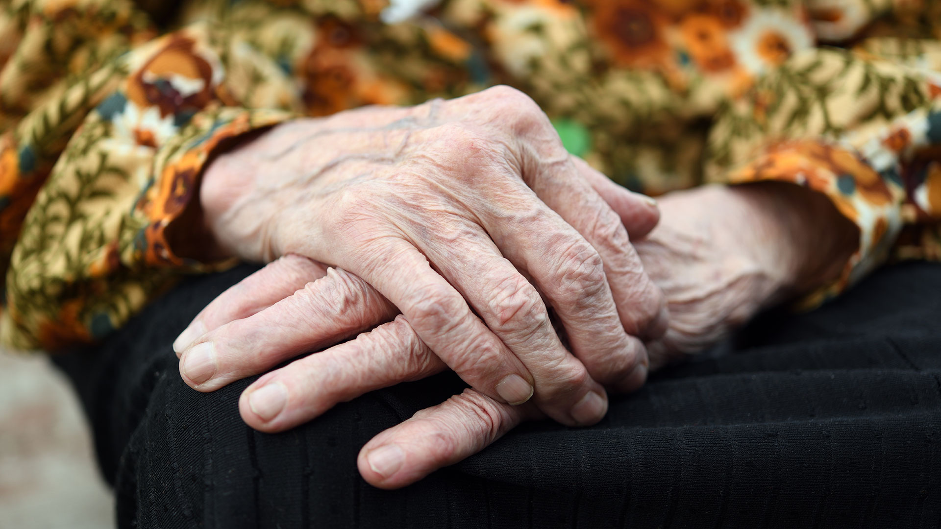 High Risk Insurance Solutions for South Carolina